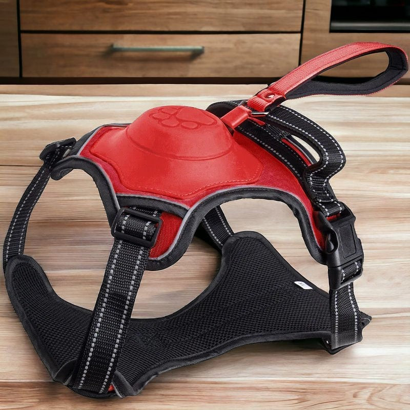 Retractable Dog Leash