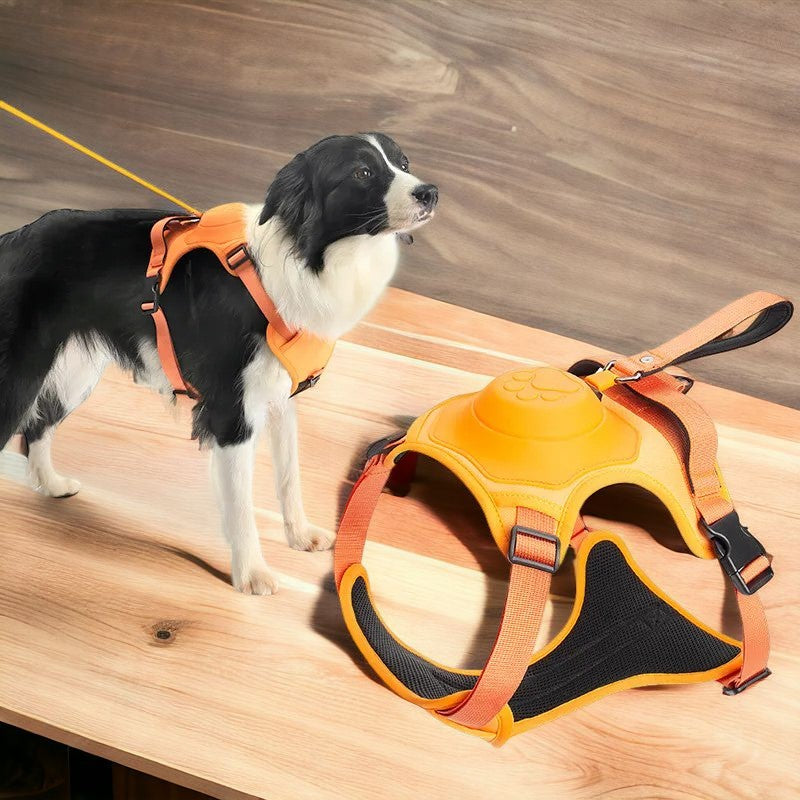 Retractable Dog Leash