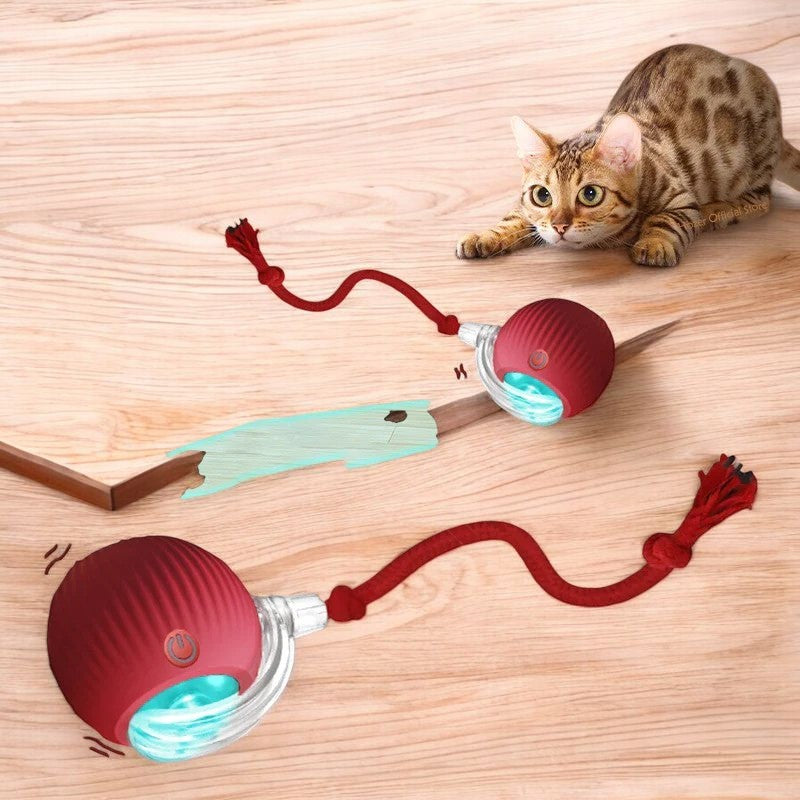 Smart Pet Electric Toy