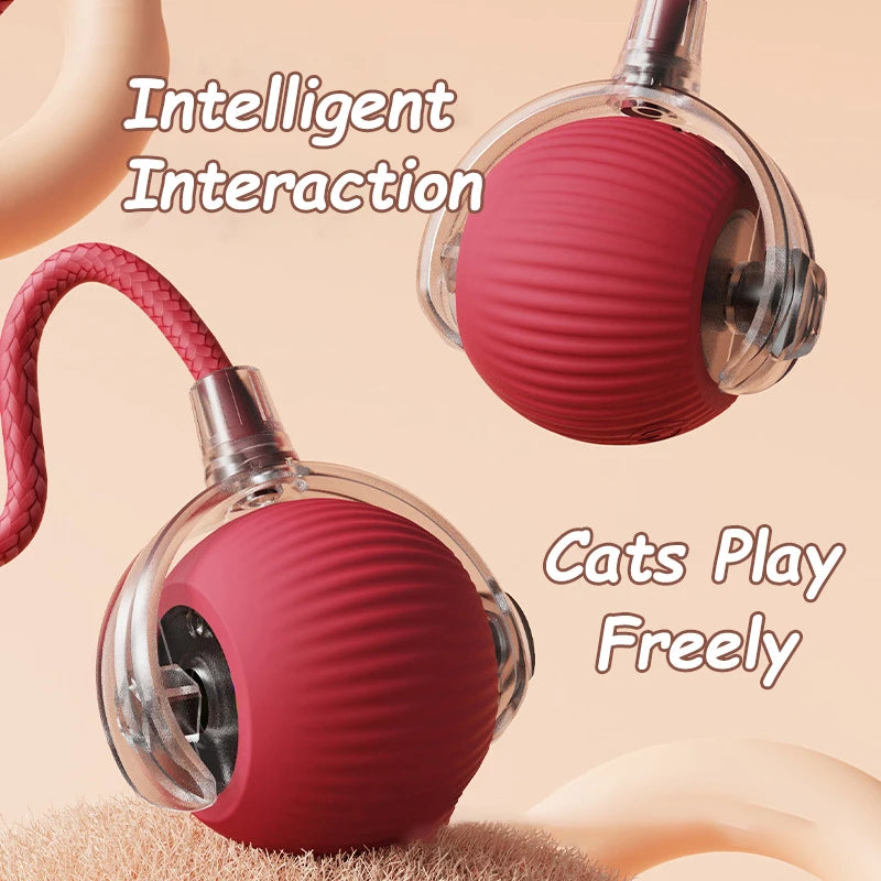 Smart Pet Electric Toy