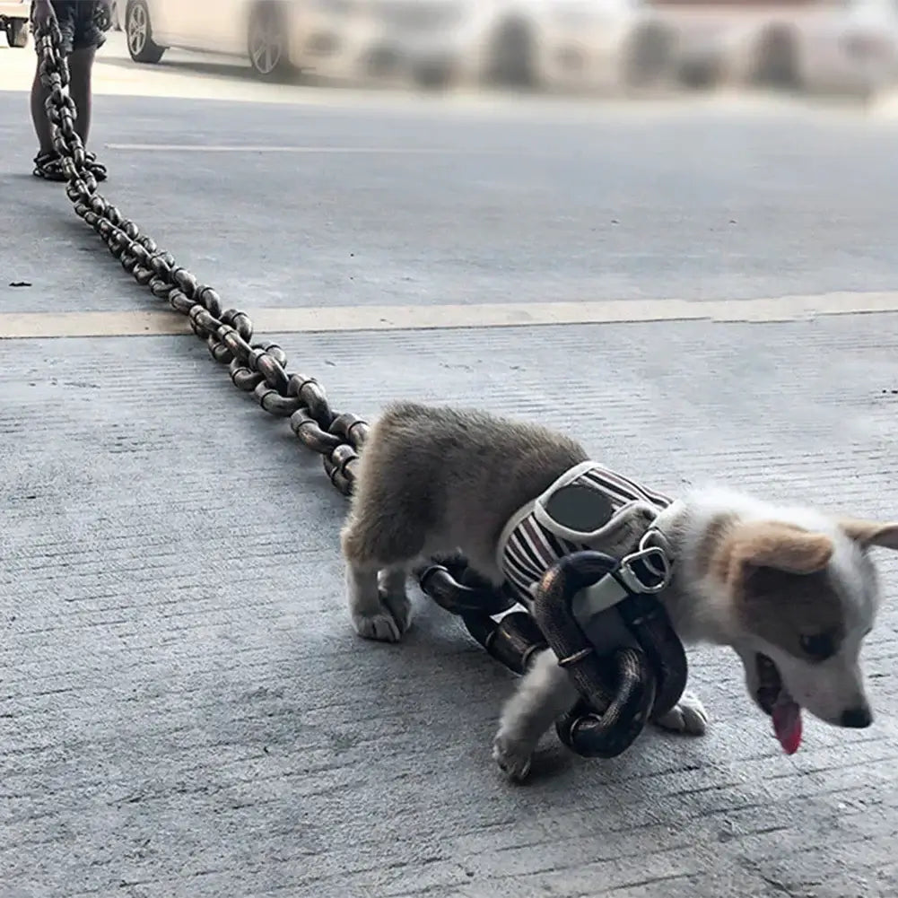 Funny Dog Leash