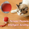 Smart Pet Electric Toy