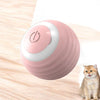 Smart Pet Electric Toy