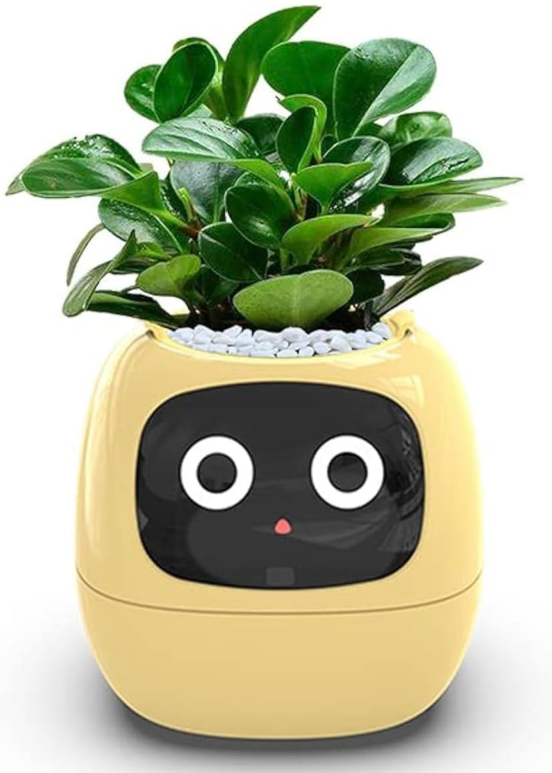 Smart Flowerpots