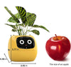 Smart Flowerpots