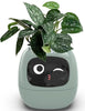 Smart Flowerpots