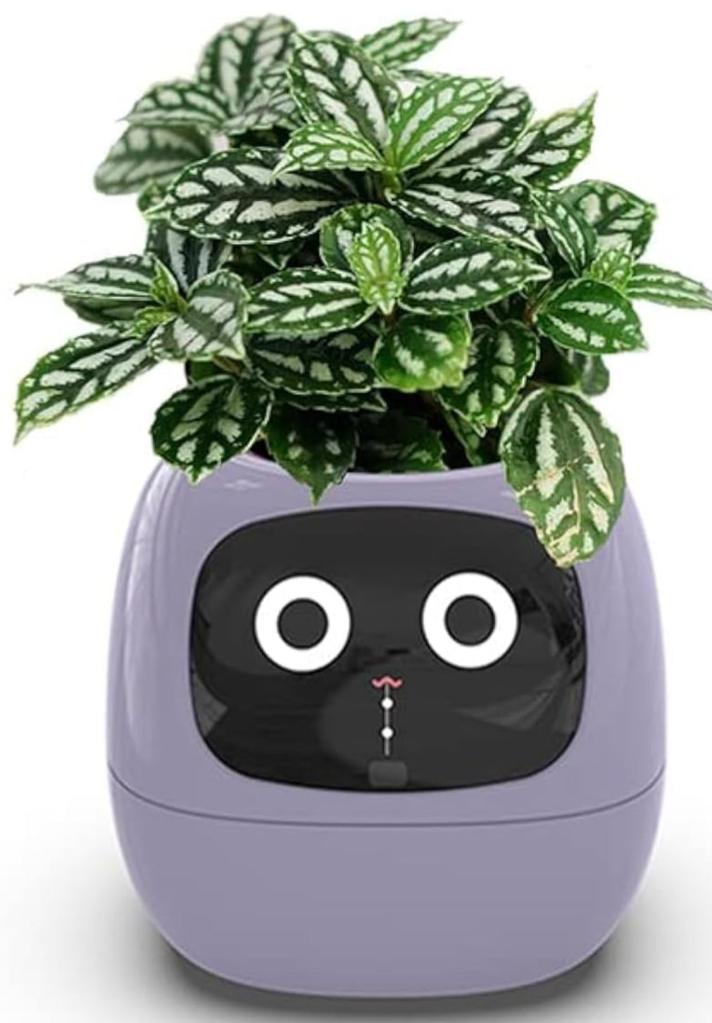 Smart Flowerpots