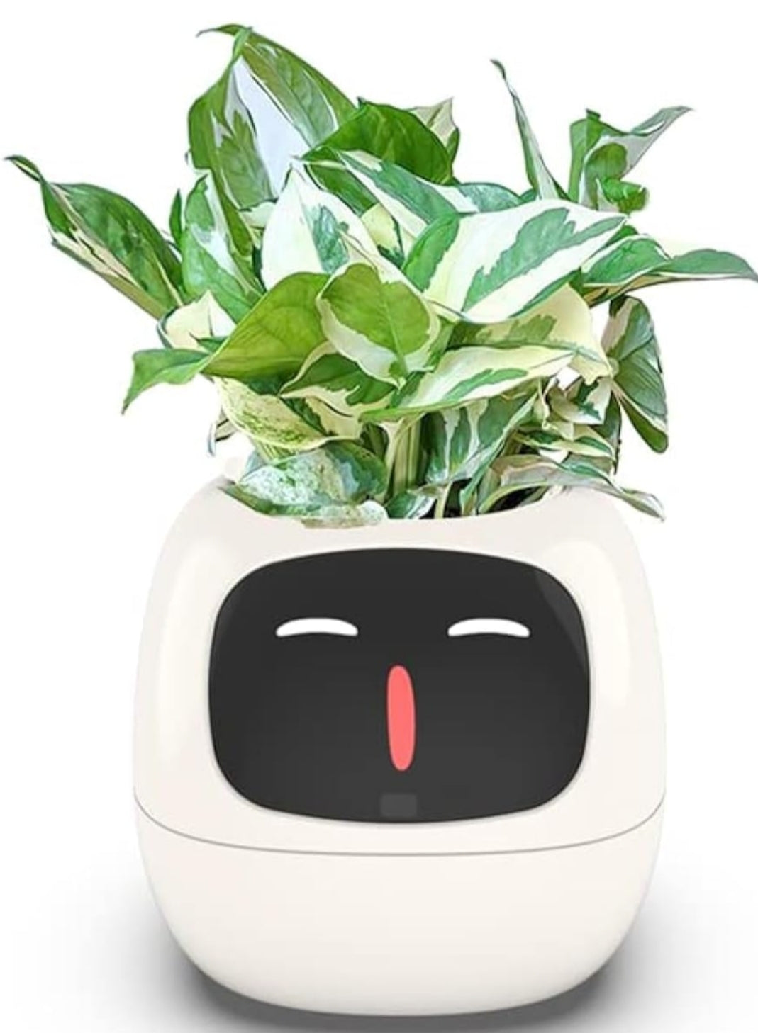 Smart Flowerpots