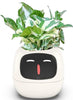 Smart Flowerpots