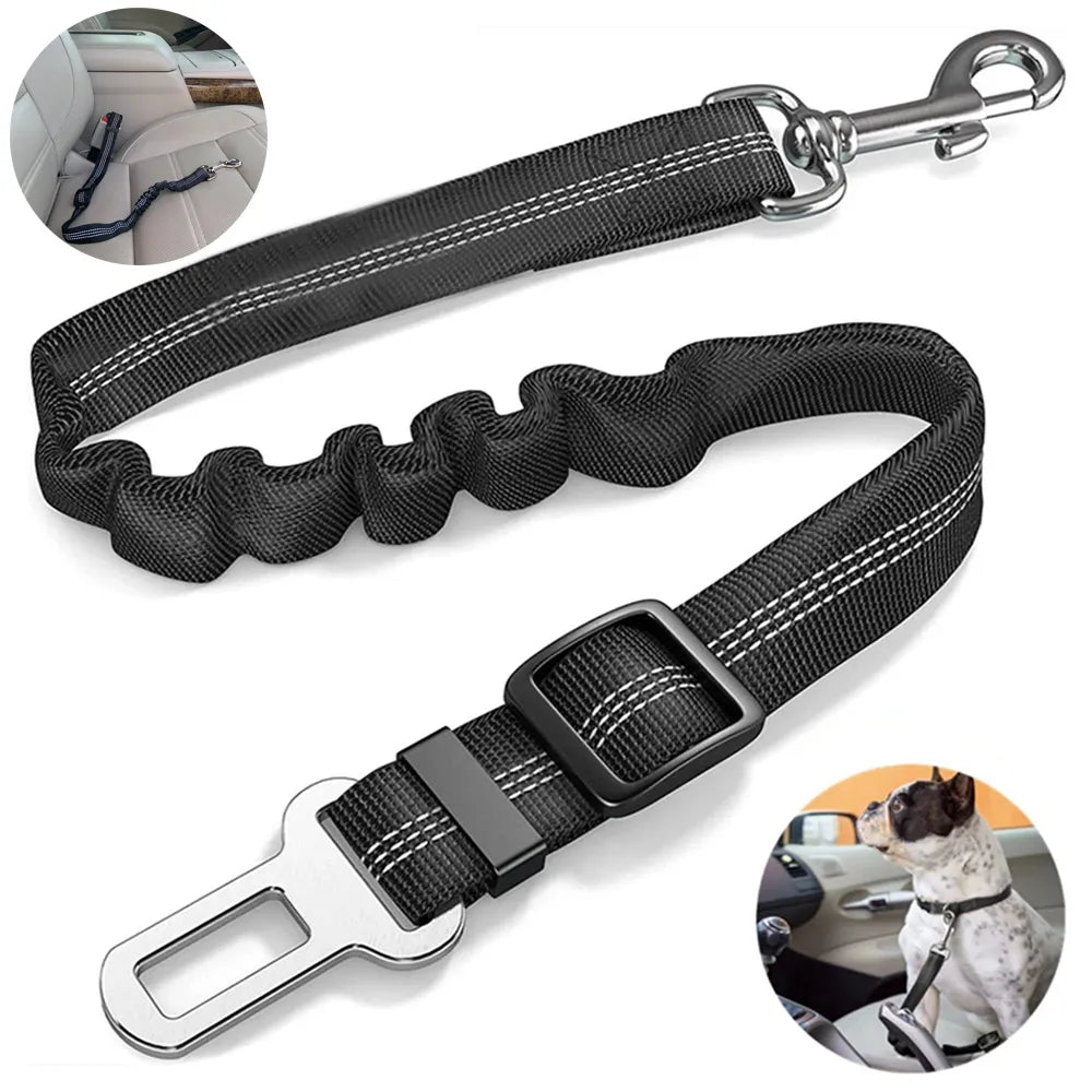 Dog Seat Belt