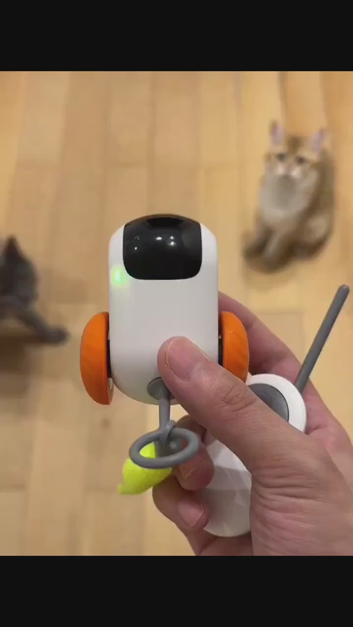 Pet Funny Toy