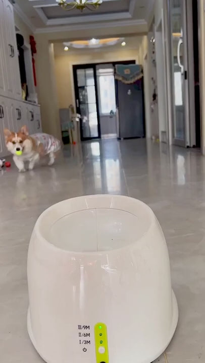 Automatic Throwing Machine Pet Ball