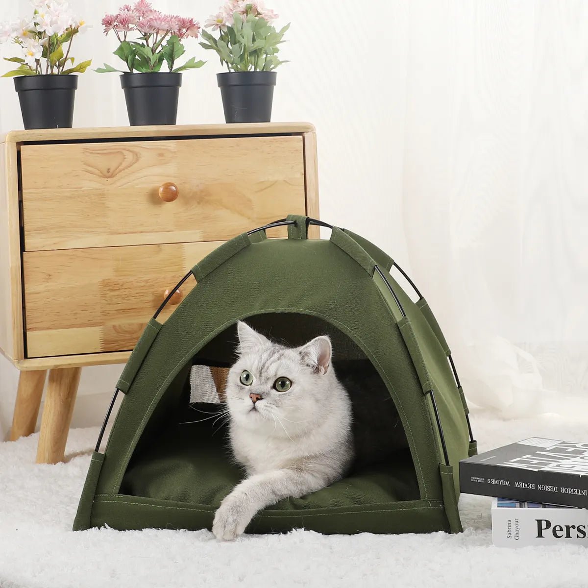 Pet Tent Bed - Cheapstuff2.com