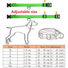 Usb Charging Led Dog Luminous Collars Adjustable Anti-Lost/Avoid Car Accident Night Light Safety Led Dogs Collar Pet Accessories - Cheapstuff2.com